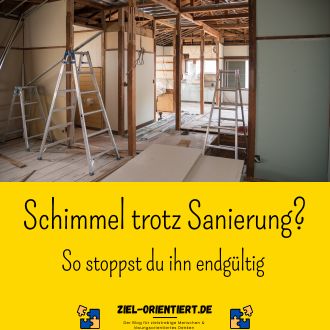 Schimmel trotz Sanierung - So stoppst du ihn endgültig